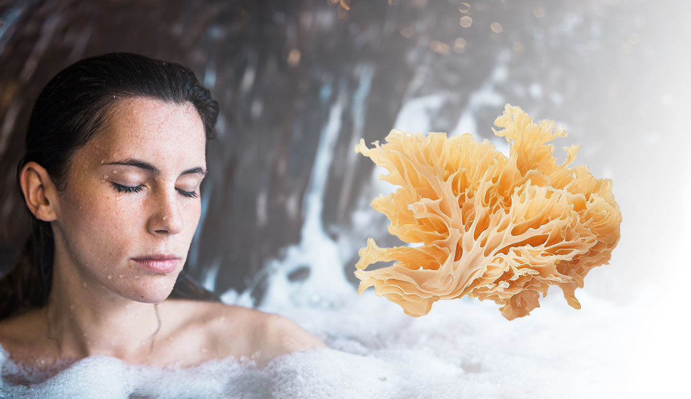 Tremella Mushrooms and Skin Health Nature's Formula for Youthful, Vib