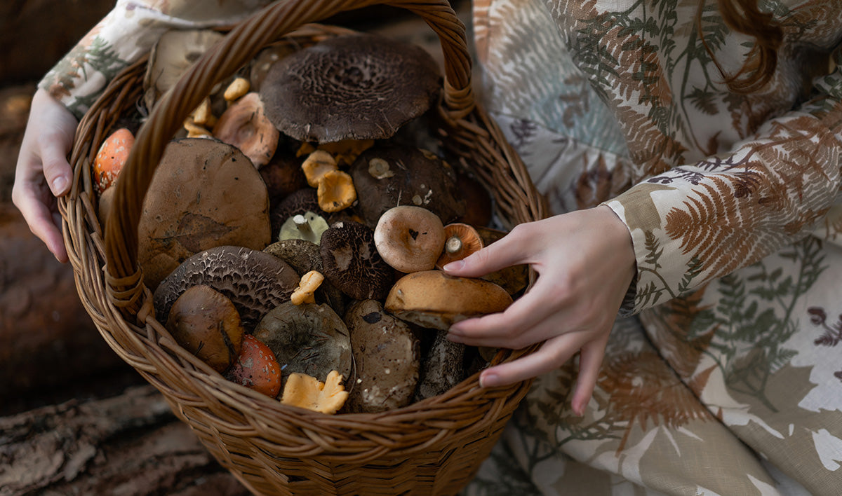 Why Choose Organic Mushrooms? – Mushrooms For Life