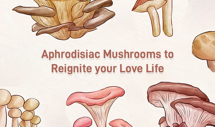 Aphrodisiac Mushrooms to Reignite your Love Life