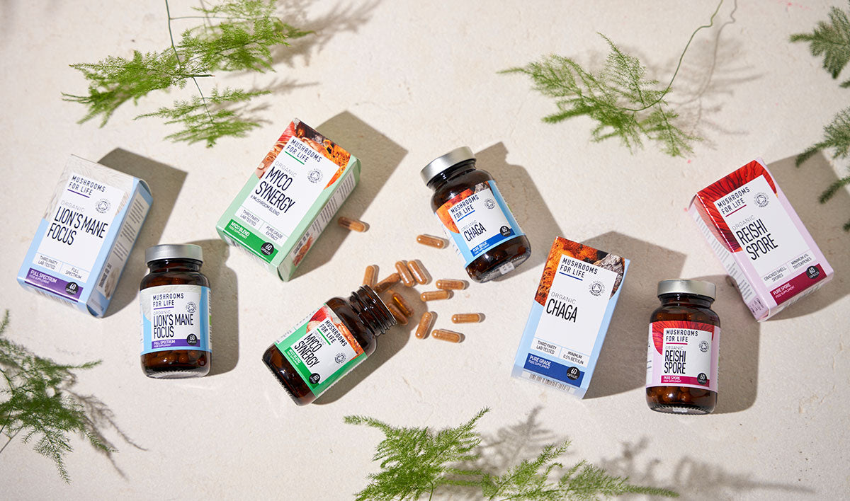Mushroom Supplements