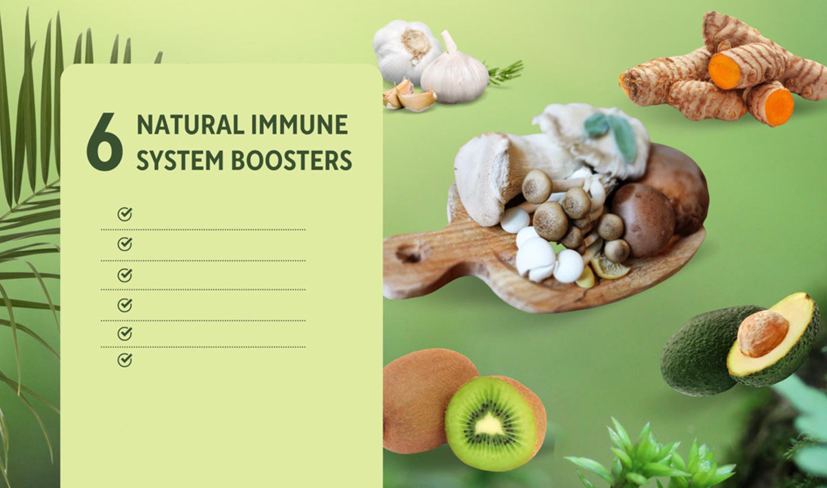 Blast Off with These 6 Natural Immune System Boosters to Stay Healthy