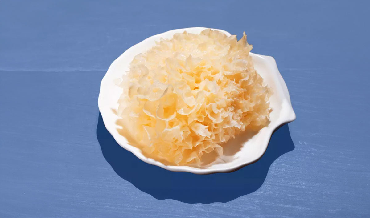 Everything You Need to Know About Tremella (Snow Fungus)