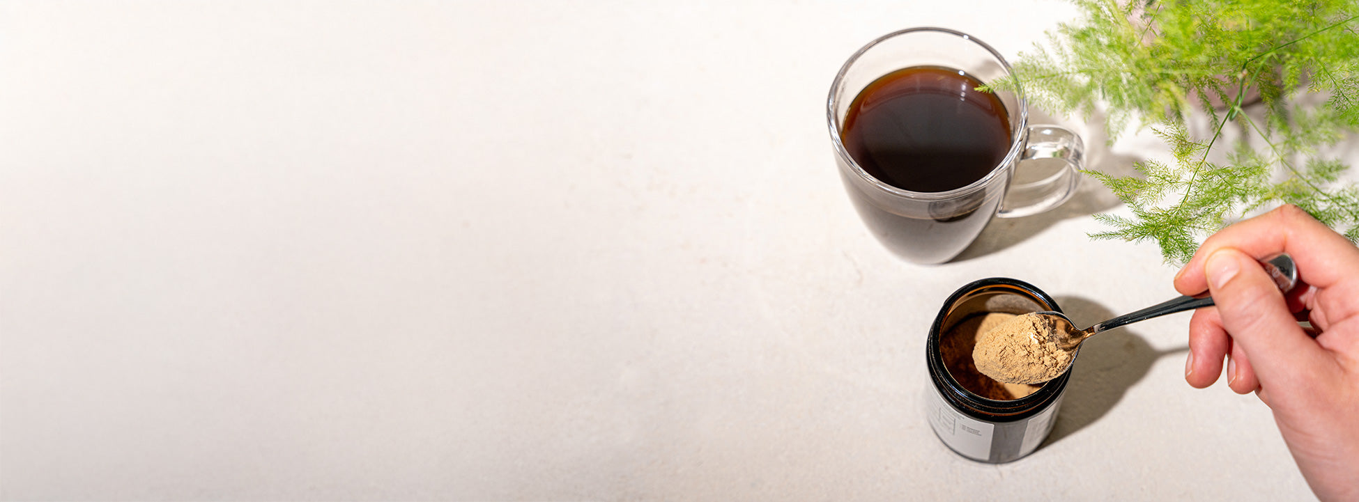 MFL-BANNER_ca42e0f4-5275-418e-b599-a61be2fb689e.jpg
